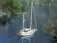 Boote und Yachten